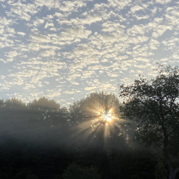 The glorious promise of a new day