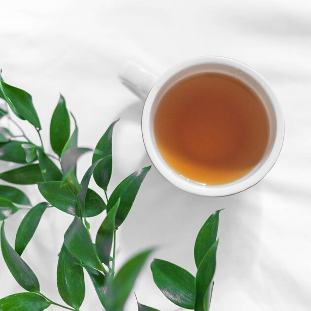 Cup of tea with a peaceful looking branch