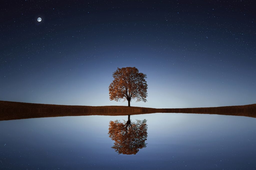 Tree reflecting in the quiet waters.  The Blessing of fruit will overflow to others. 