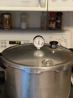 pressure canner with gauge