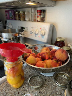 Peaches are scaled and peeled then packed into jars