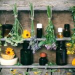 healing herbs and tinctures