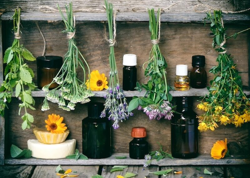 healing herbs and tinctures