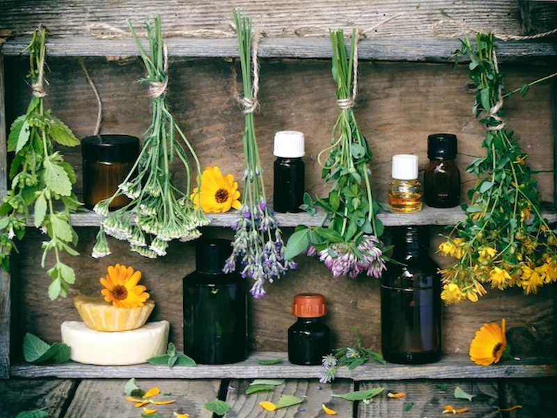 healing herbs and tinctures