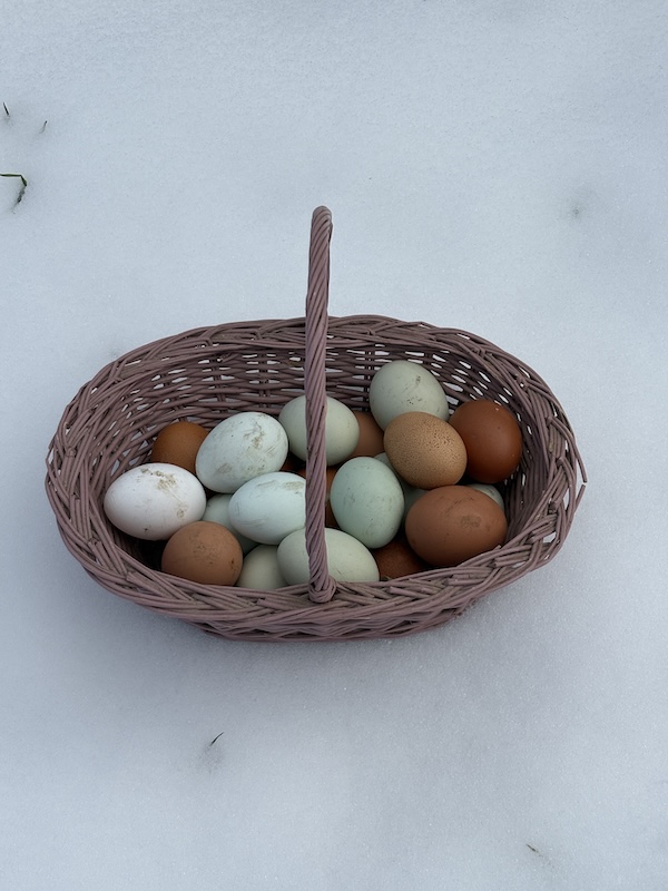 Basket of eggs in the snow